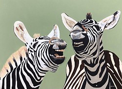 Lachende zebra’s. € 200,00.  100 x 80 cm.