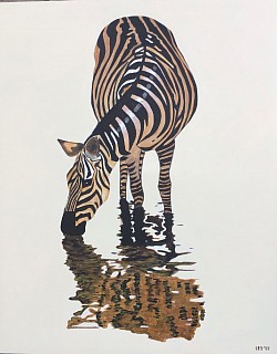Drinkende zebra 80 x 100 cm.  € 150,00